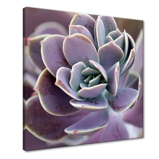Royal Succulent Gallery Wrapped Canvas Art by Norman Wyatt Home - Bed ...