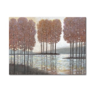 Islands And Streams Gallery Wrapped Canvas Art - Bed Bath & Beyond 