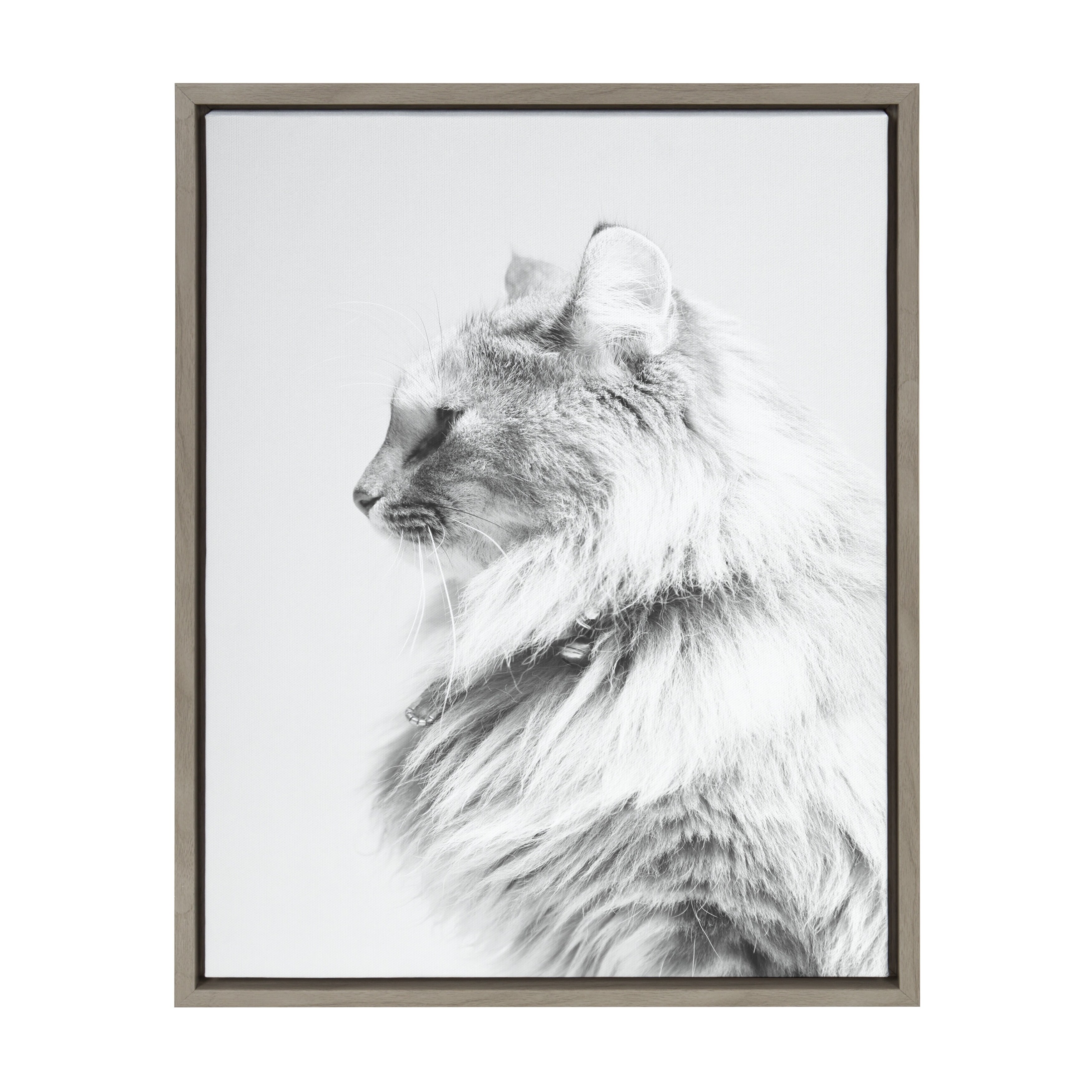 Shop Sylvie Long Haired Cat Framed Canvas Wall Art Gray 18 X 24
