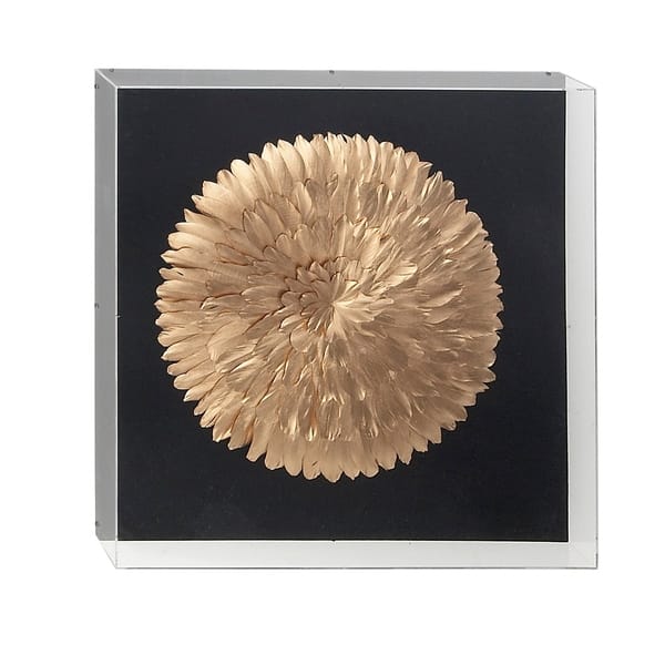 Shop Contemporary 24 X 24 Inch Gold Feather Shadow Box Wall Decor