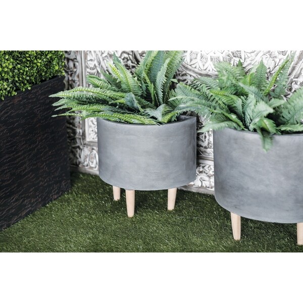 fiddle leaf fig tree home depot Ficus Lyrata – Jungle & Loom main image 0