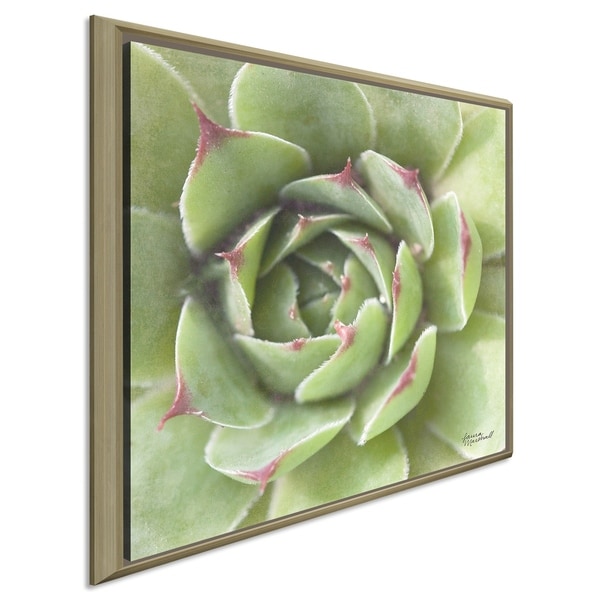 Laura Marshall "Garden Succulents II Color" Giclee Stretched Canvas Wall Art