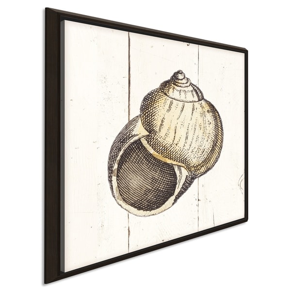 "Shell Sketches II Shiplap" Giclee Stretched Canvas Wall Art