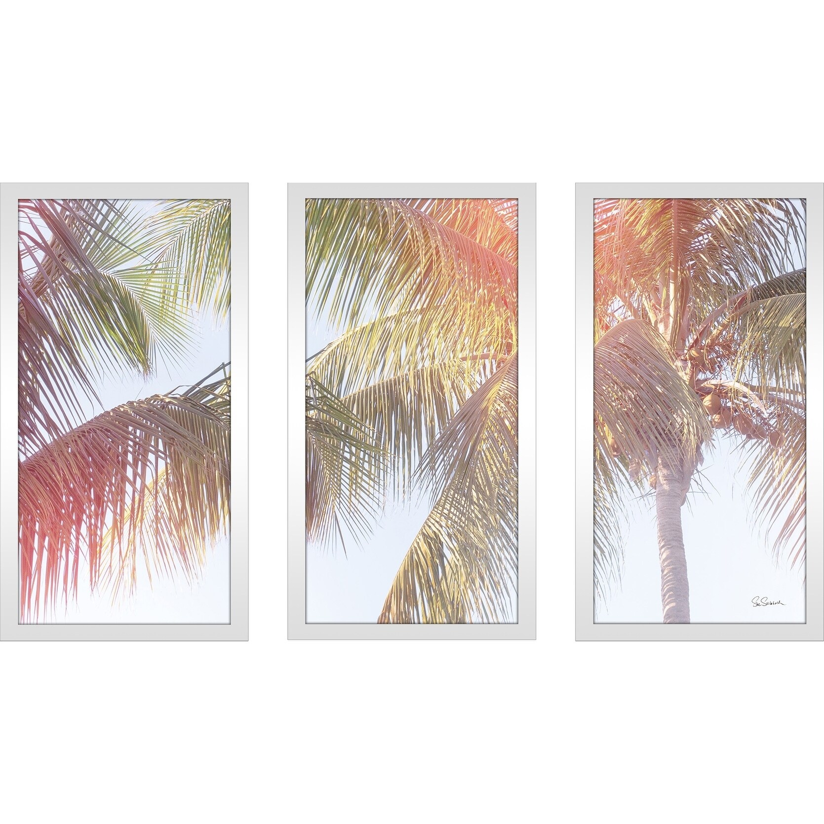 Sue Schlabach "Dandy Bones II" Framed Plexiglass Wall Art Bed Bath