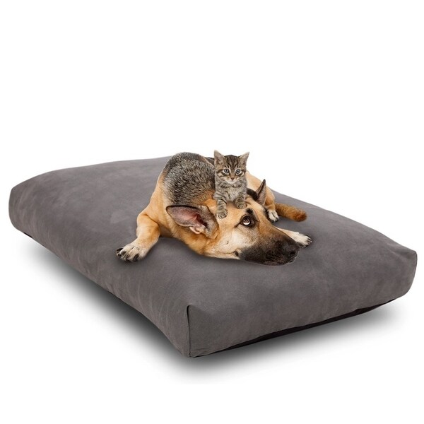 Shop Cr Orthopedic Memory Foam Dog Bed with Waterproof