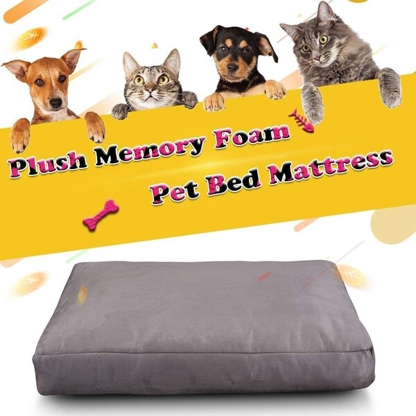 memory foam cat bed