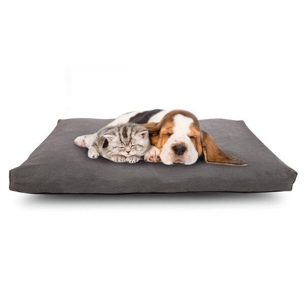 medium waterproof dog bed