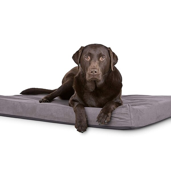 medium waterproof dog bed