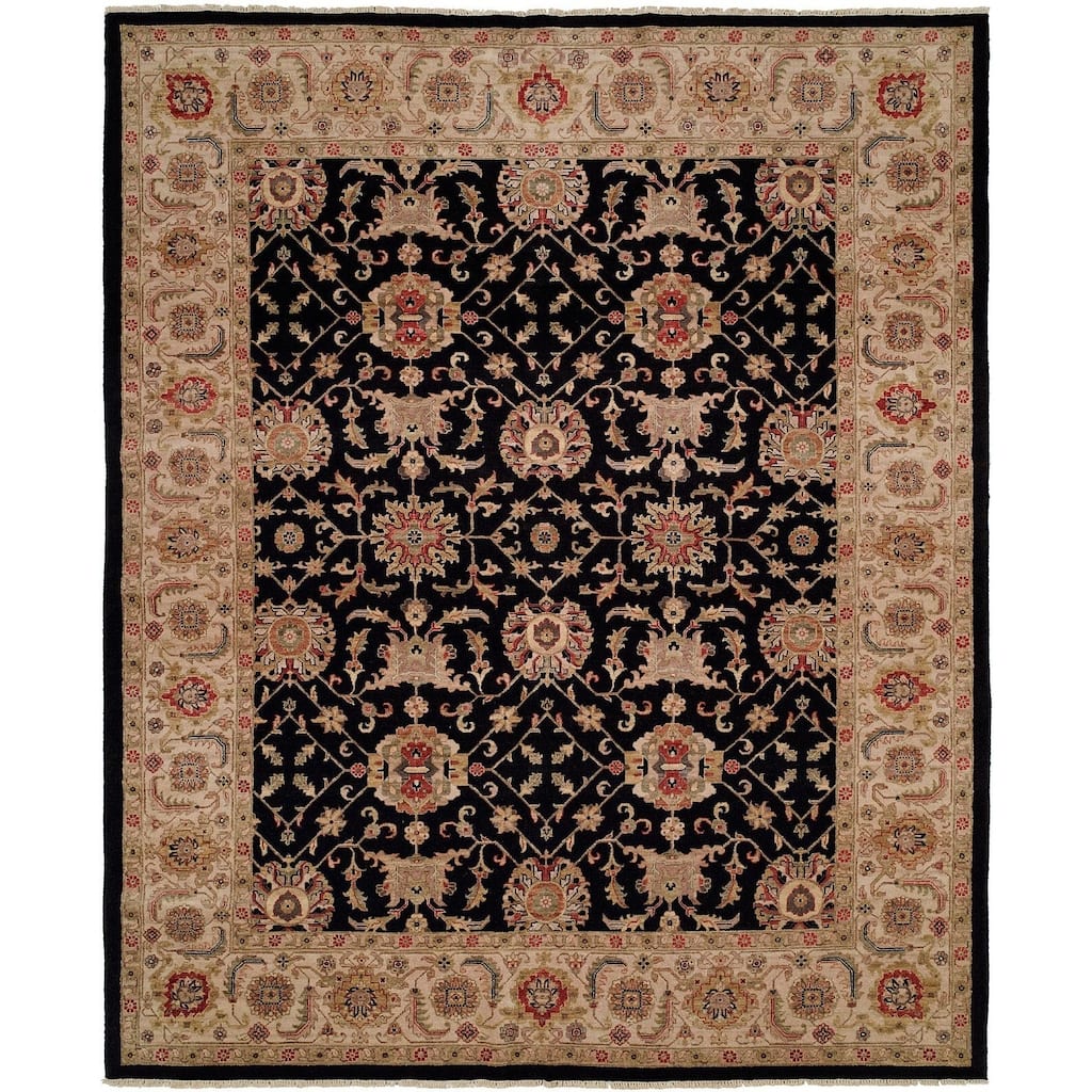 Bashir Black/Ivory Hand-knotted Area Rug