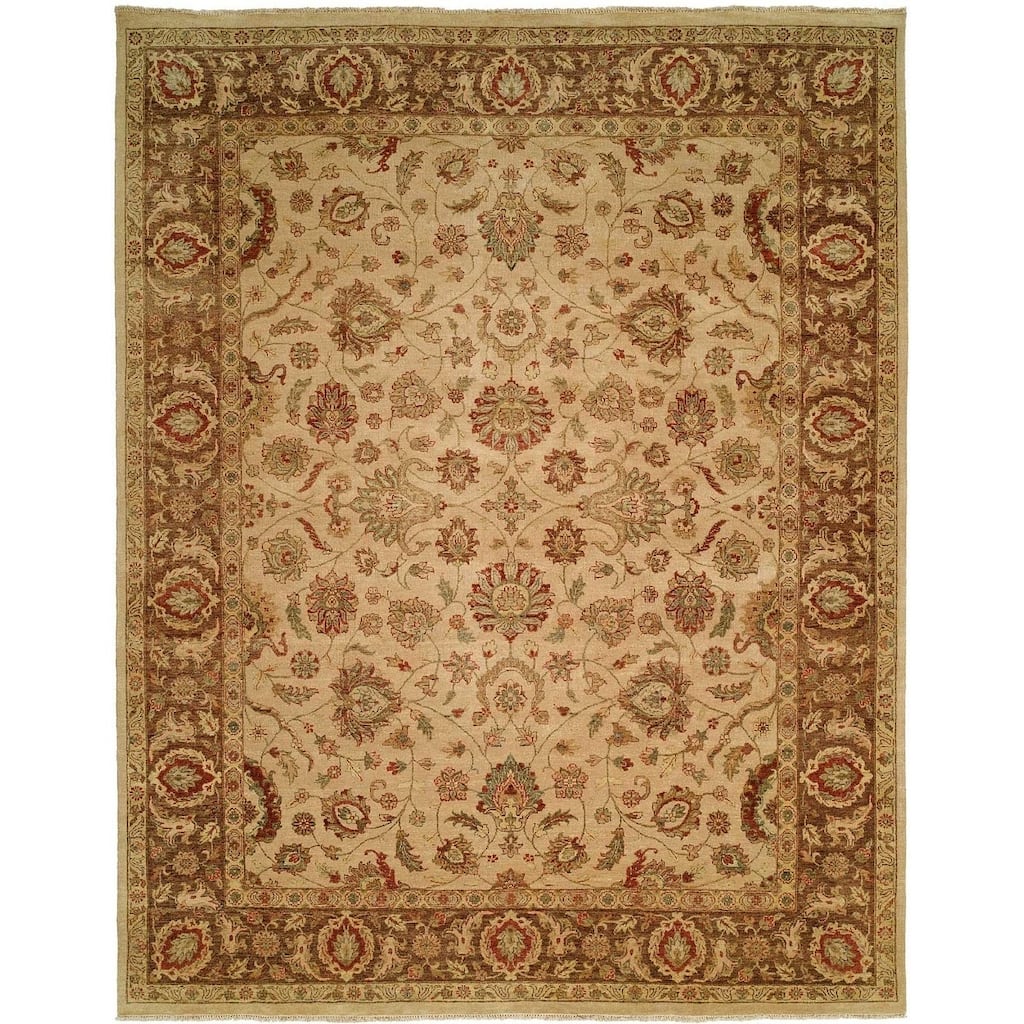 Traditional Ivory / Brown Hand-knotted Area Rug