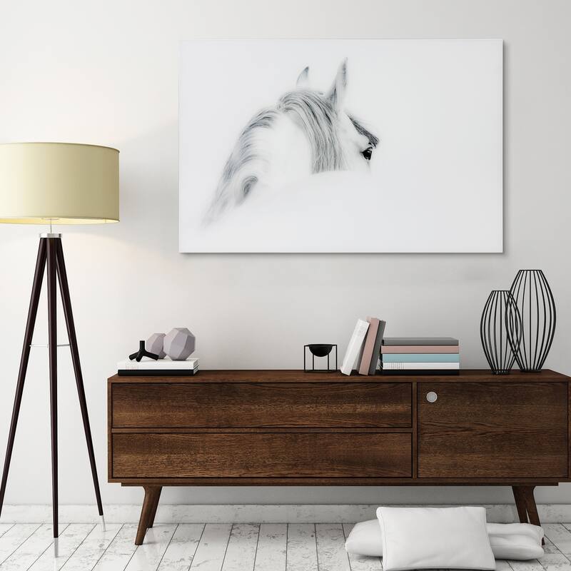 Blanco Mare Horse Wall Art on Frameless Free Floating Tempered Art Glass