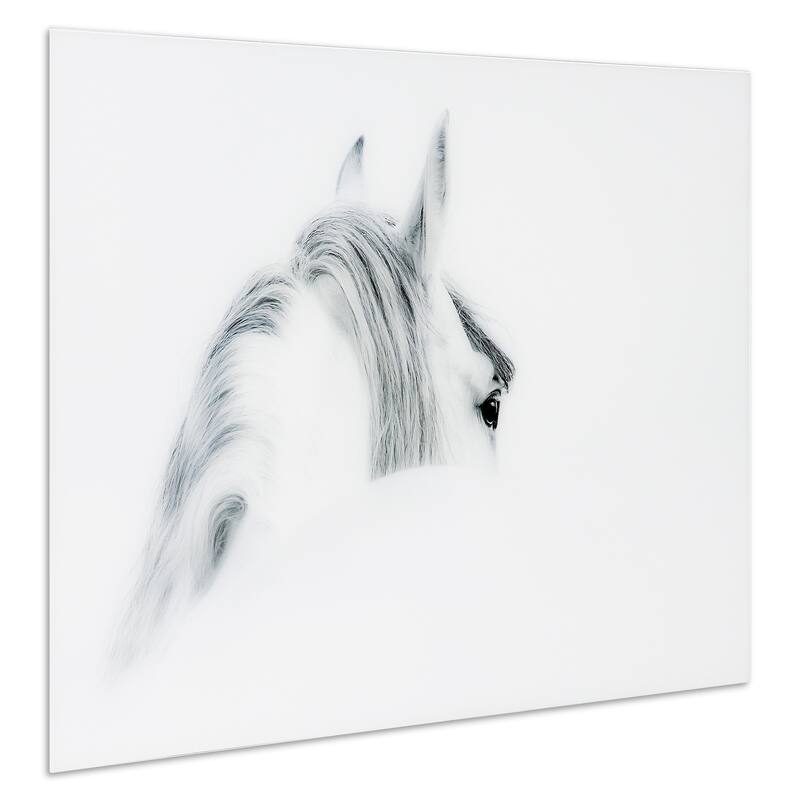 Blanco Mare Horse Wall Art on Frameless Free Floating Tempered Art Glass