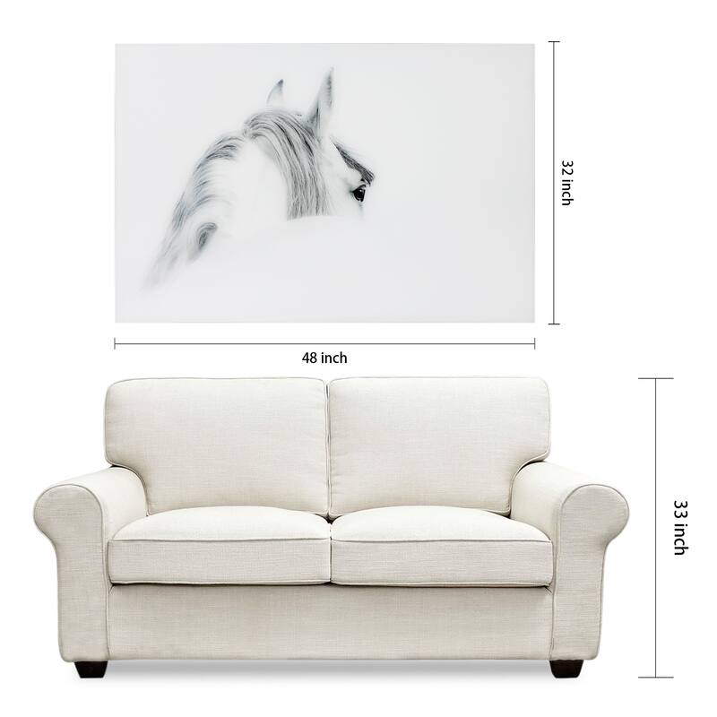 Blanco Mare Horse Wall Art on Frameless Free Floating Tempered Art Glass