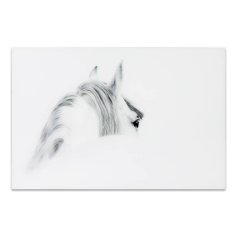Blanco Mare Horse Wall Art on Frameless Free Floating Tempered Art Glass - N/A