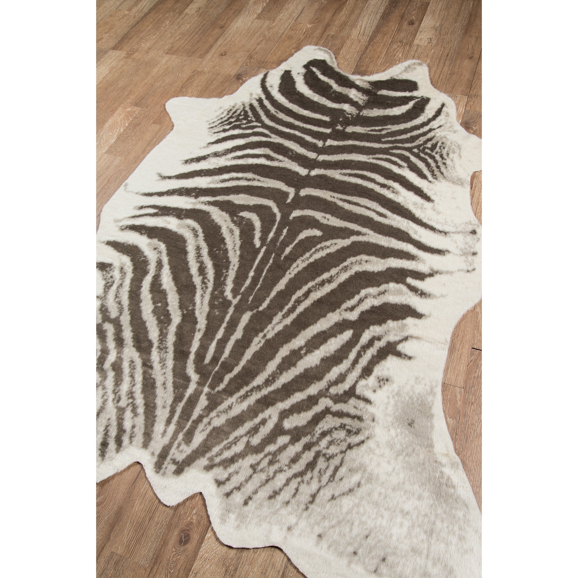  Capybara Rug 3x4 Area Rug 3D Animal Rugs for Entryway