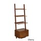 Copper Grove Helena Ladder Bookcase with File Drawer - Thumbnail 9