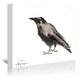 preview thumbnail 1 of 1, Crow 3 By Suren Nersiyan - Wrapped Canvas Wall Art