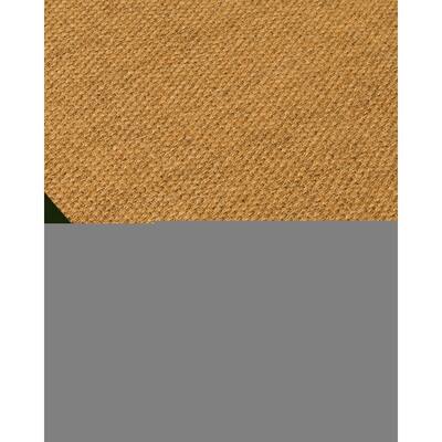 NaturalAreaRugs Nagoya Sisal Area Rug Hand-Woven Moss Border (8' x 10') - 8' x 10'