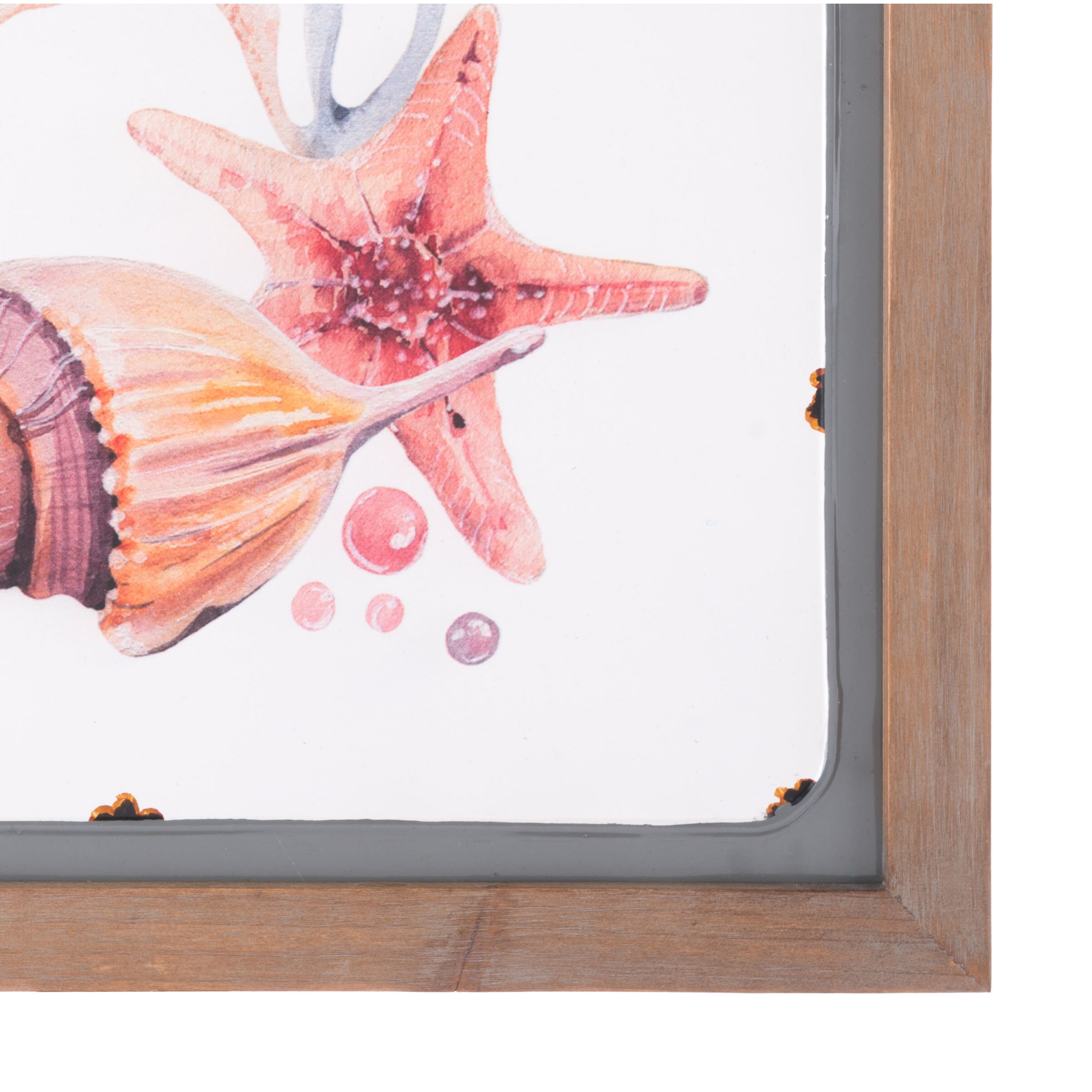 Shop Porch Den Multicolor Sea Life Wall Decor Overstock 20566001
