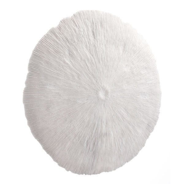 Shop White Stone Large Round Coral Plaque Wall Decor
