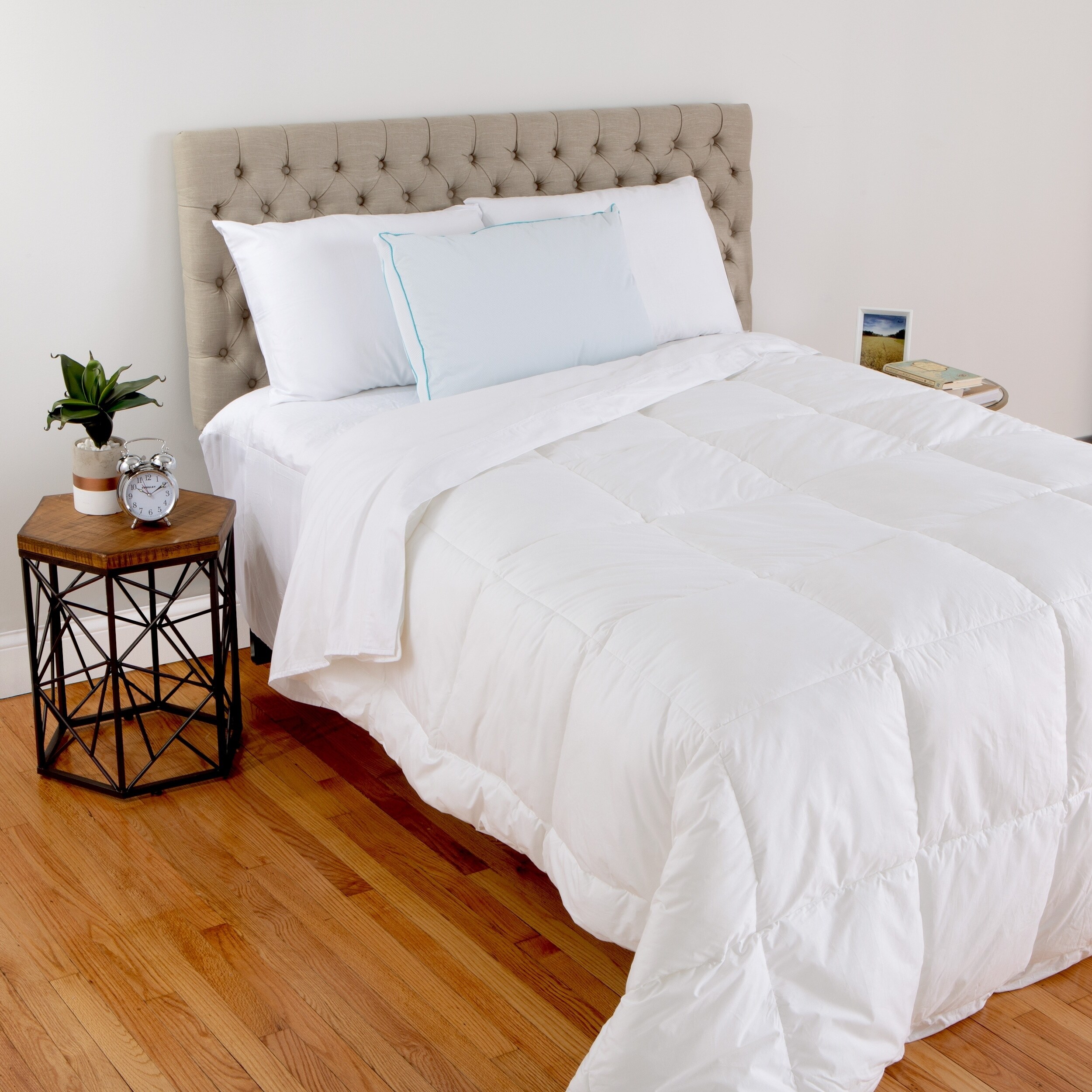 Shop Hanes Cool Comfort Memory Foam Down Alternative