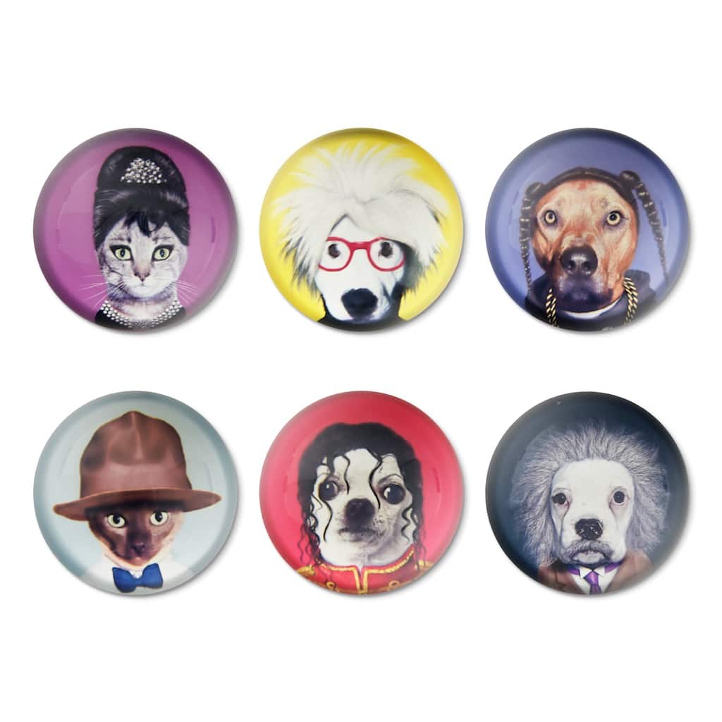 Empire Art Magnets - set of 6 Pets Rock™ Characters in Gift Box - sold in sets of 2 boxes