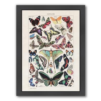 Papillons Vintage Art Print - Framed Print Wall Art