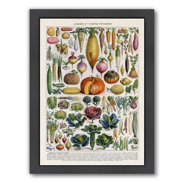 Americanflat 'Legumes Et Plantes Potageres Vintage Art Print' Framed Wall Art