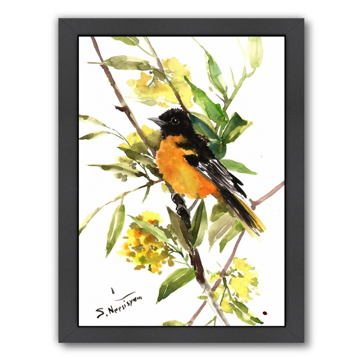 Baltimore Orioles the O's Print Oriole Bird 