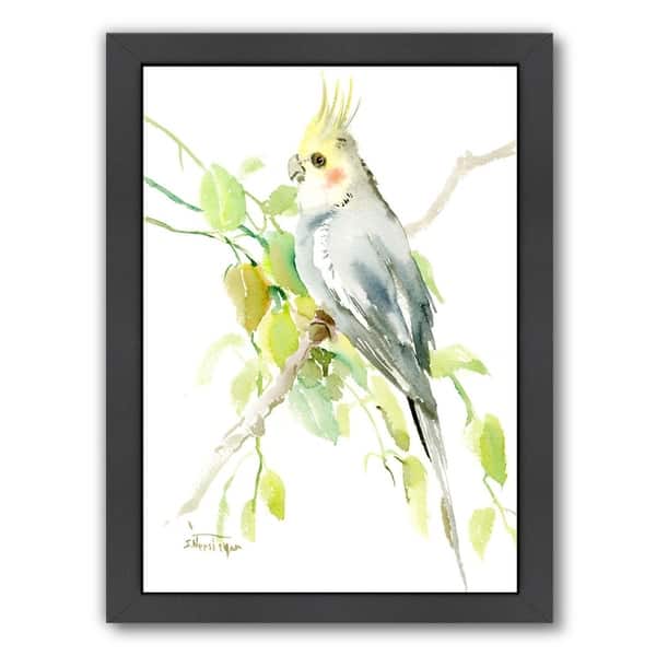 cockatiel for sale cheap