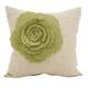 Option Lime