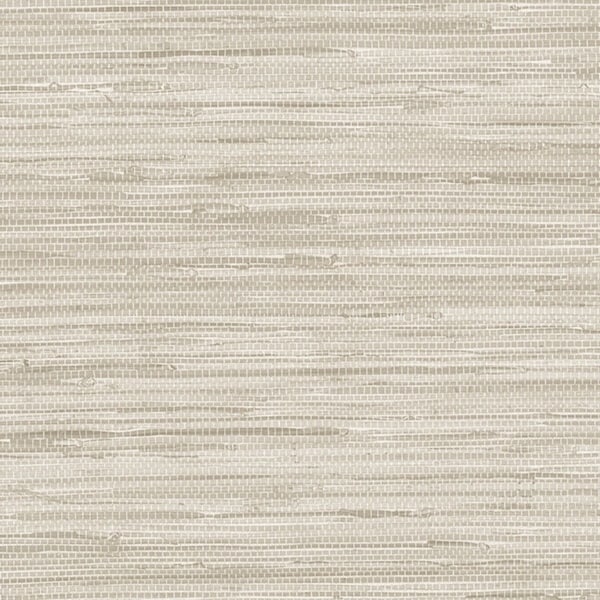 Buy Removable Wallpaper Grasscloth Online In India  Etsy India