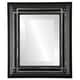 preview thumbnail 1 of 2, Imperial Framed Rectangle Mirror in Matte Black with Silver
