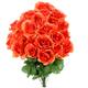 Option GPB0399-CORAL