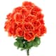 Option GPB0399-CORAL