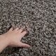 Safavieh Athens Shag Ilaha Solid Rug - Thumbnail 58