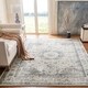 Safavieh Evoke Annabel Vintage Shabby Chic Oriental Rug - Thumbnail 1