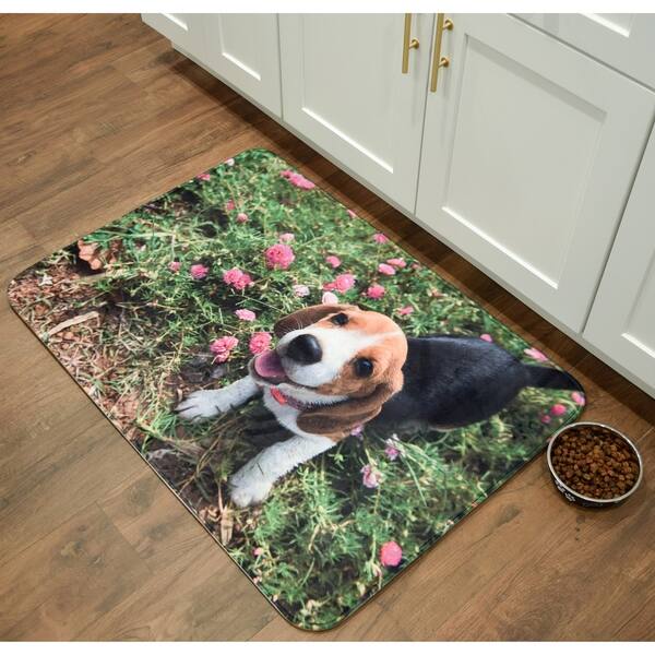 Shop Beagle Memory Foam Anti Fatigue Anti Slip Barkley Collection