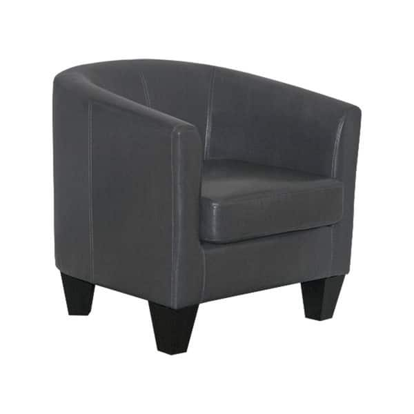 Grafton Home Enzo Upholstered Accent Barrel Chair