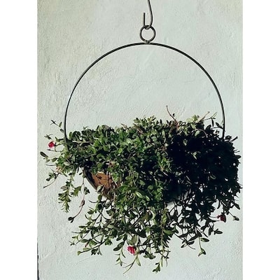 Blue Moon Planter