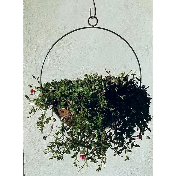 Blue Moon Planter