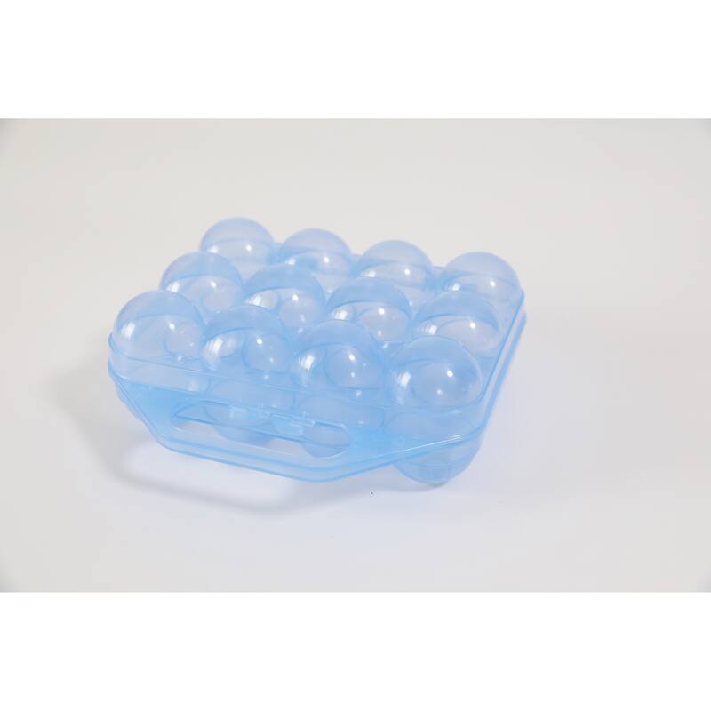 Clear Plastic Egg Carton, 12 Egg Holder Carrying Case with Handle