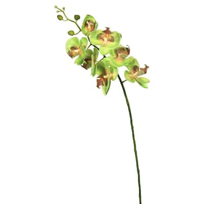 Vickerman 35" Green Orchid Floral Stem