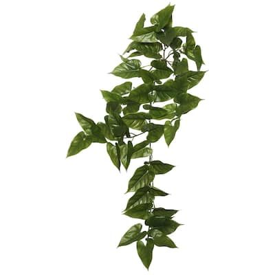 Vickerman 36" Green Anthura Bush