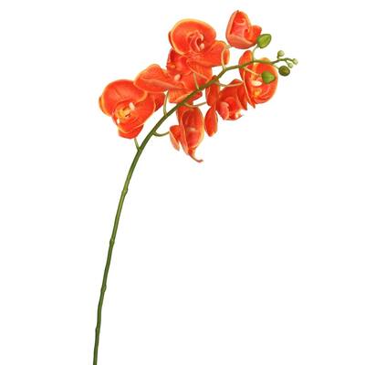 Vickerman 35" Orange Orchid Floral Stem