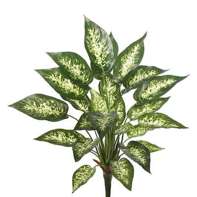 Vickerman 22" Green and White Dieffenbachia Greenery Bush - Green / White