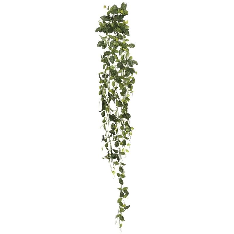 Vickerman 65" Green Fittonia Bush