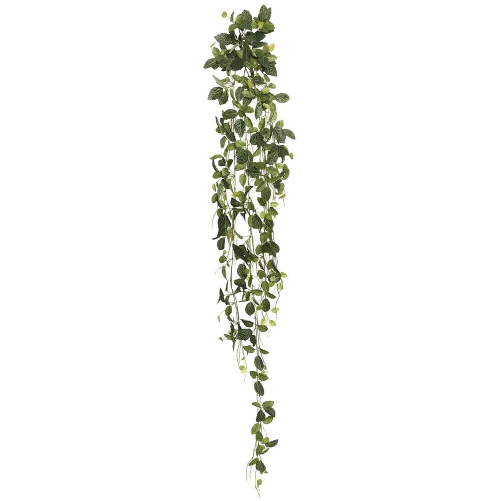 Vickerman 65" Green Fittonia Bush