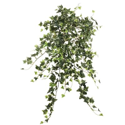 Vickerman 26" Green Ivy Bush