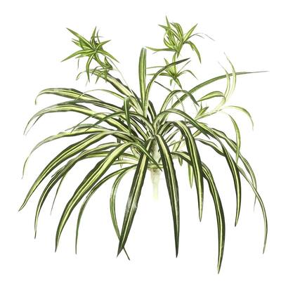 Vickerman 24" Green Plant Bush